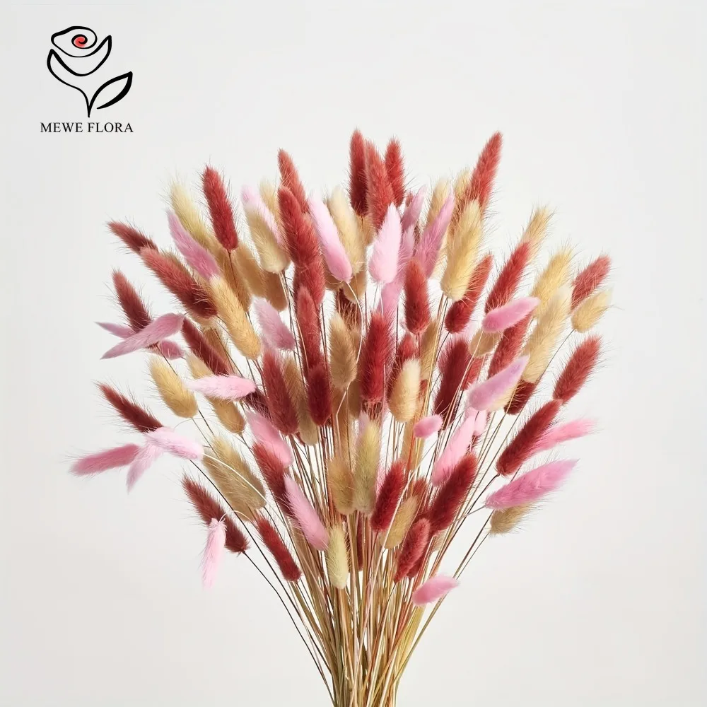 Dried Pampas Bundle - 90 adet Karışık 3 Renk Tavşan