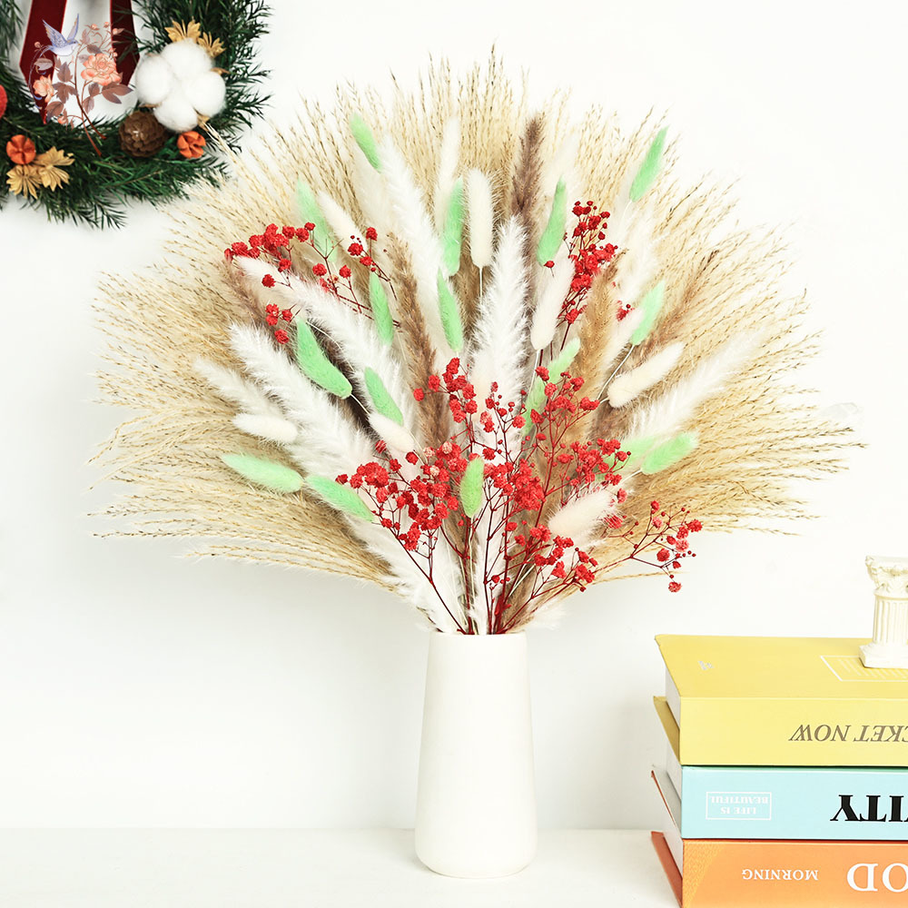Dried Pampas Bundle - 70 Saplı Kabarık Yeşil Kırmızı Pampas