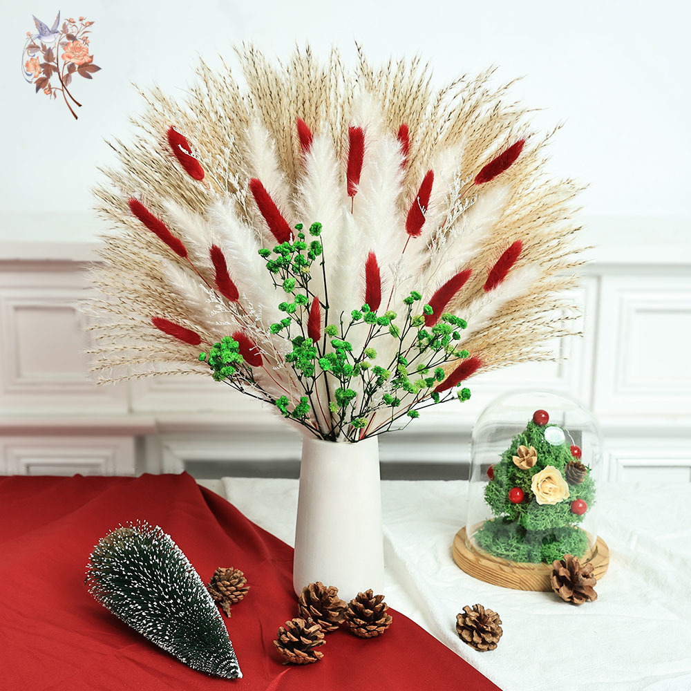 Dried Pampas Bundle - 55 adet Kurutulmuş Çiçek Buketi Noel