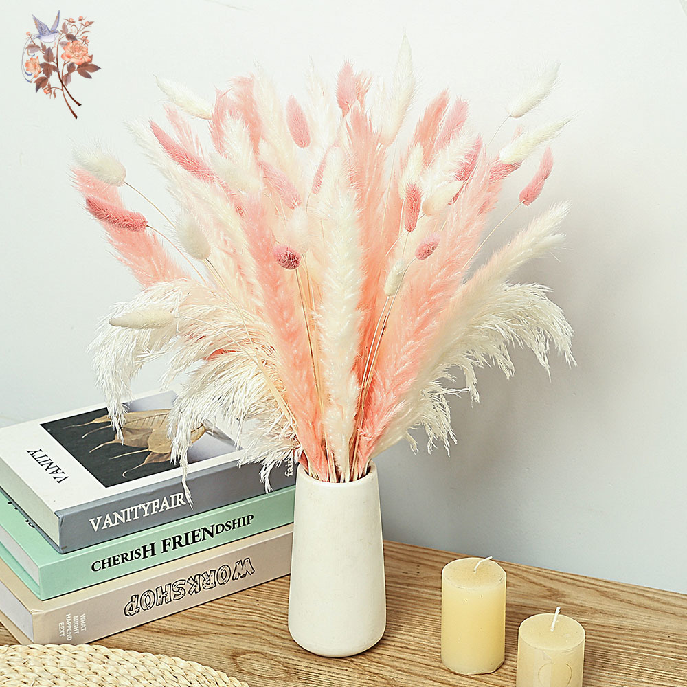 62 Parça Beyaz Sazlık Pembe Ta - Dried Pampas Bundle incelemesi ve fiyatı