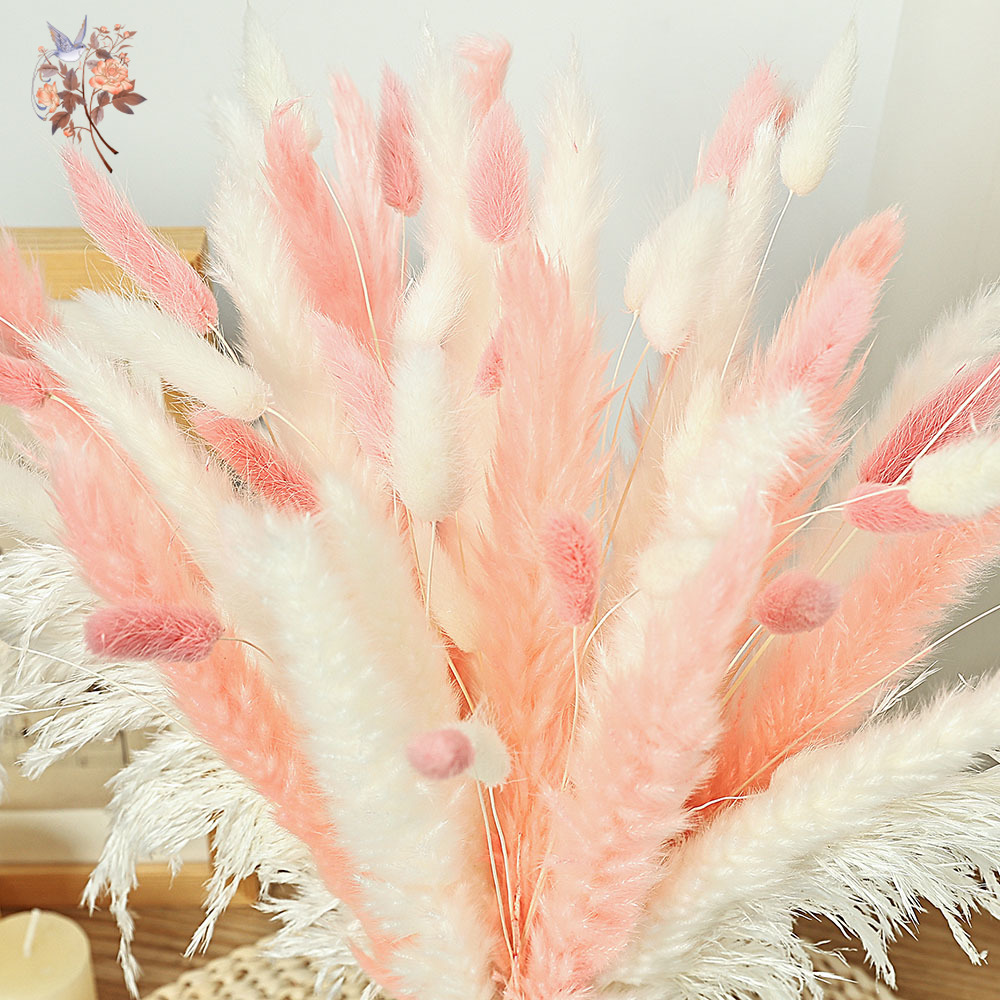 62 Parça Beyaz Sazlık Pembe Ta - Dried Pampas Bundle incelemesi ve fiyatı