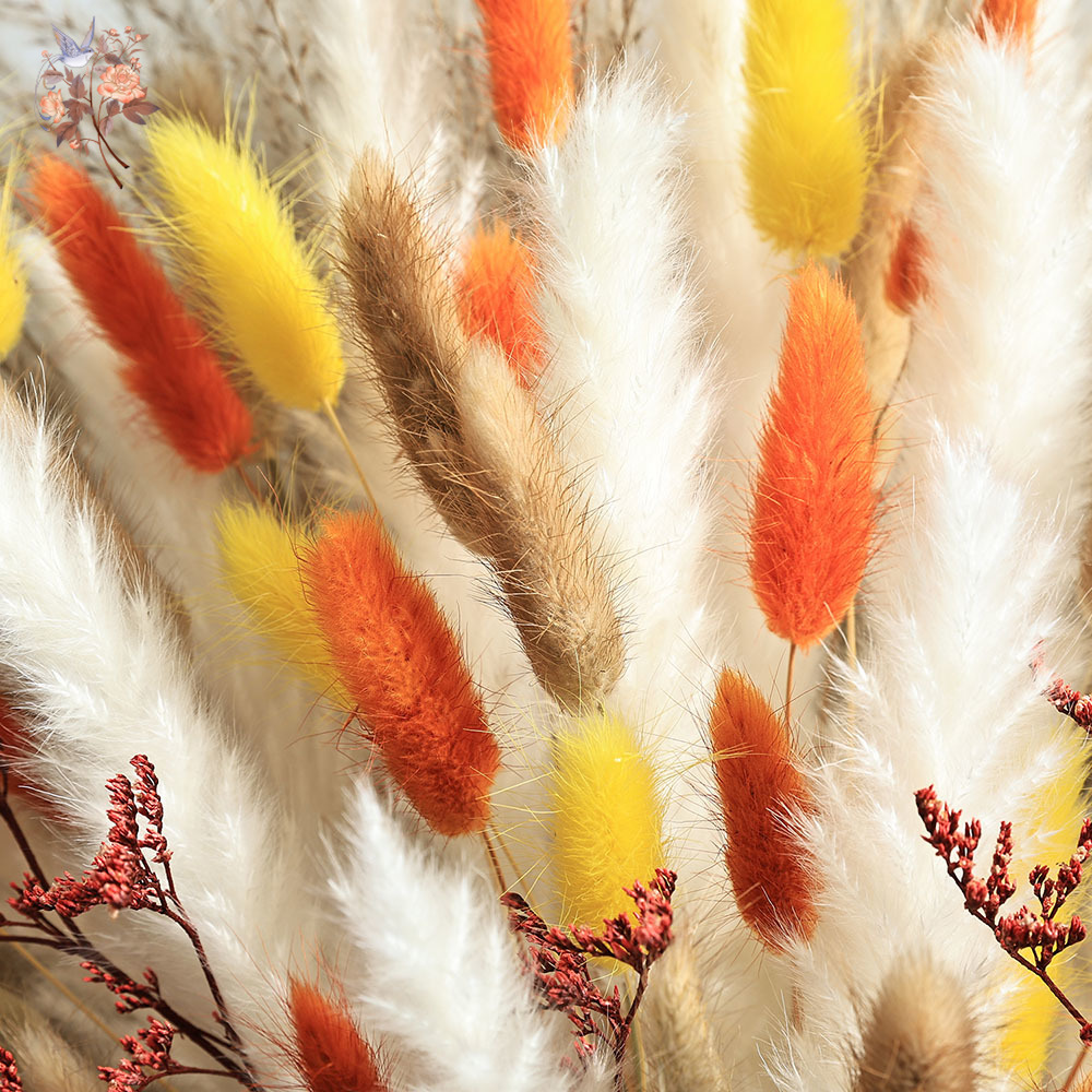 85 Parça Doğal Kabarık Sonbaha - Dried Pampas Bundle incelemesi ve fiyatı