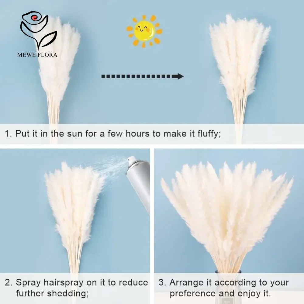 20 adet Kabarık Pampas Çim Kam - Dried Pampas Bundle incelemesi ve fiyatı