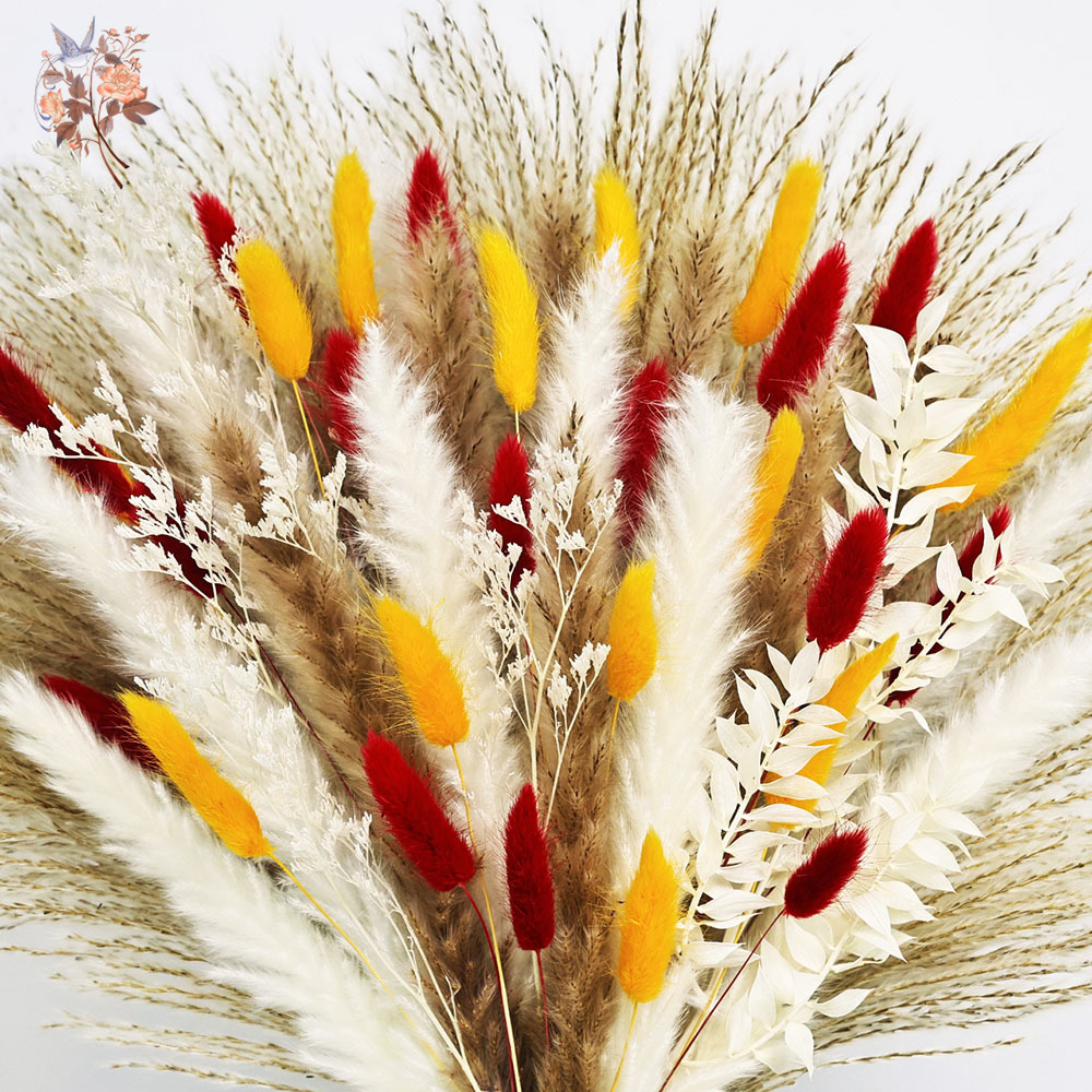70 Saplı Doğal Kabarık Pampas  - Dried Pampas Bundle incelemesi ve fiyatı