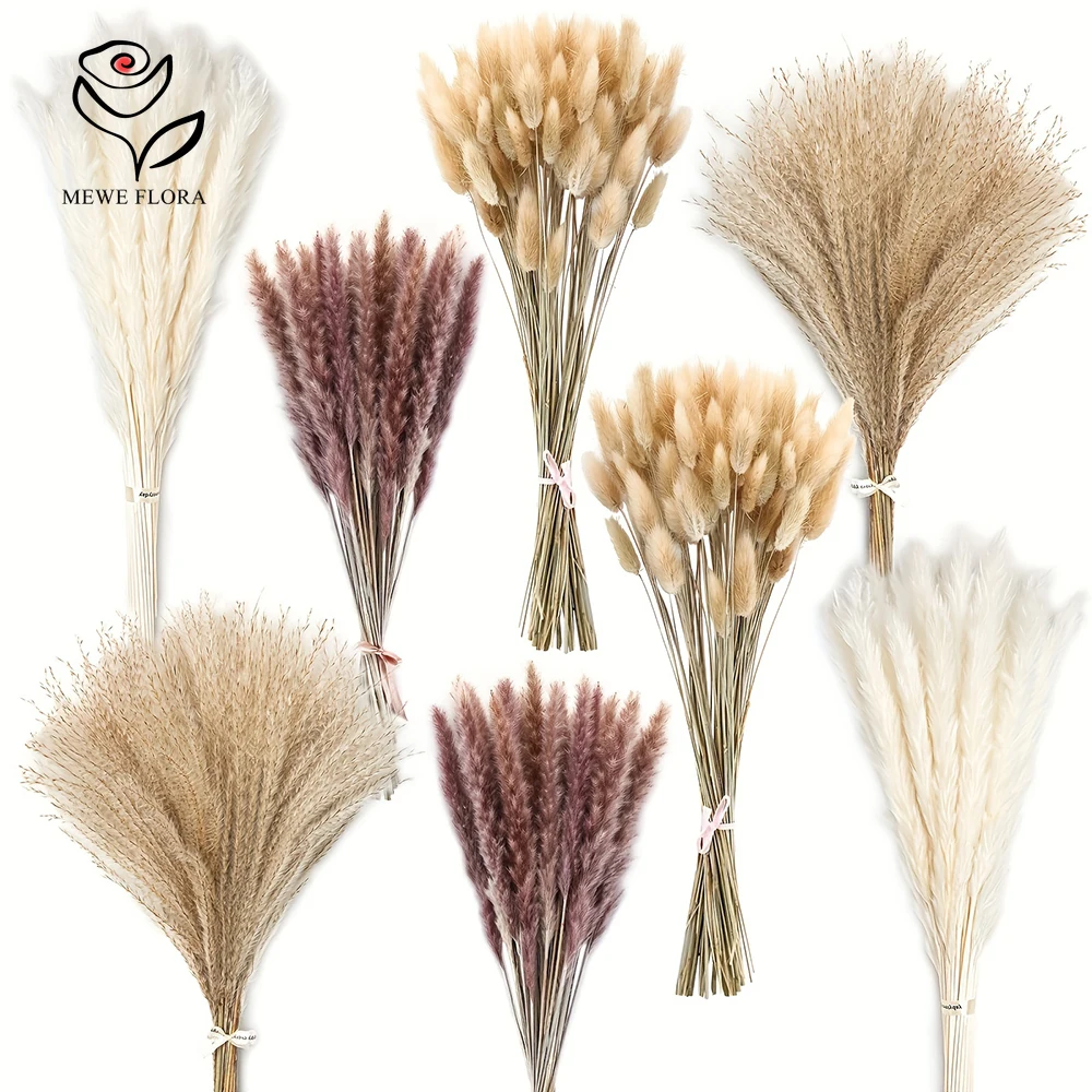 200 Adet Kurutulmuş Pampas Tav - Dried Pampas Bundle incelemesi ve fiyatı